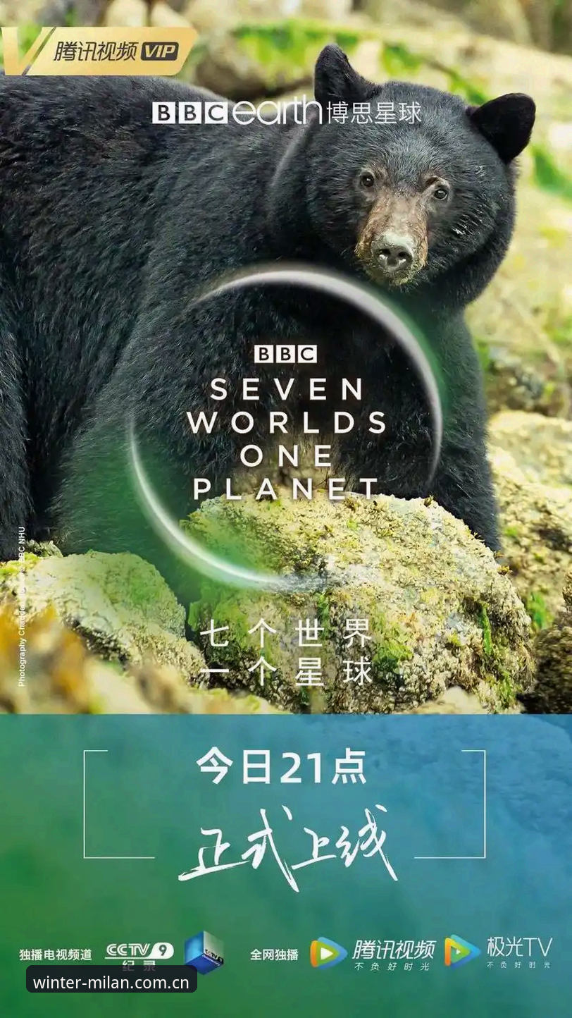 米兰中国冬季原创叙述专区安卓版 加雷斯·索斯盖特BBC纪录片深度评测:一场关于“改变年轻男性游戏规则”的现实拷问